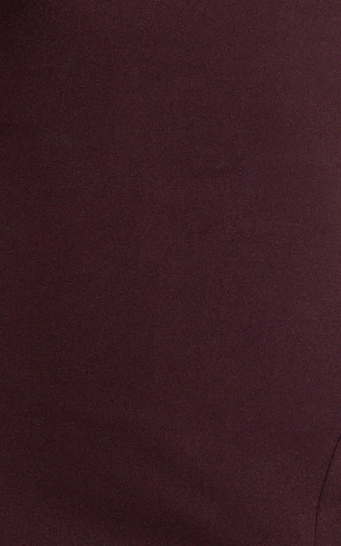 Raya Maxi Dress - Deep V Neck Low Back Bodycon Dress in Wine